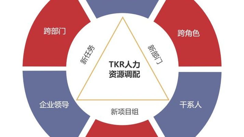 RPO外包公司在上海成立，需满足哪些条件？**